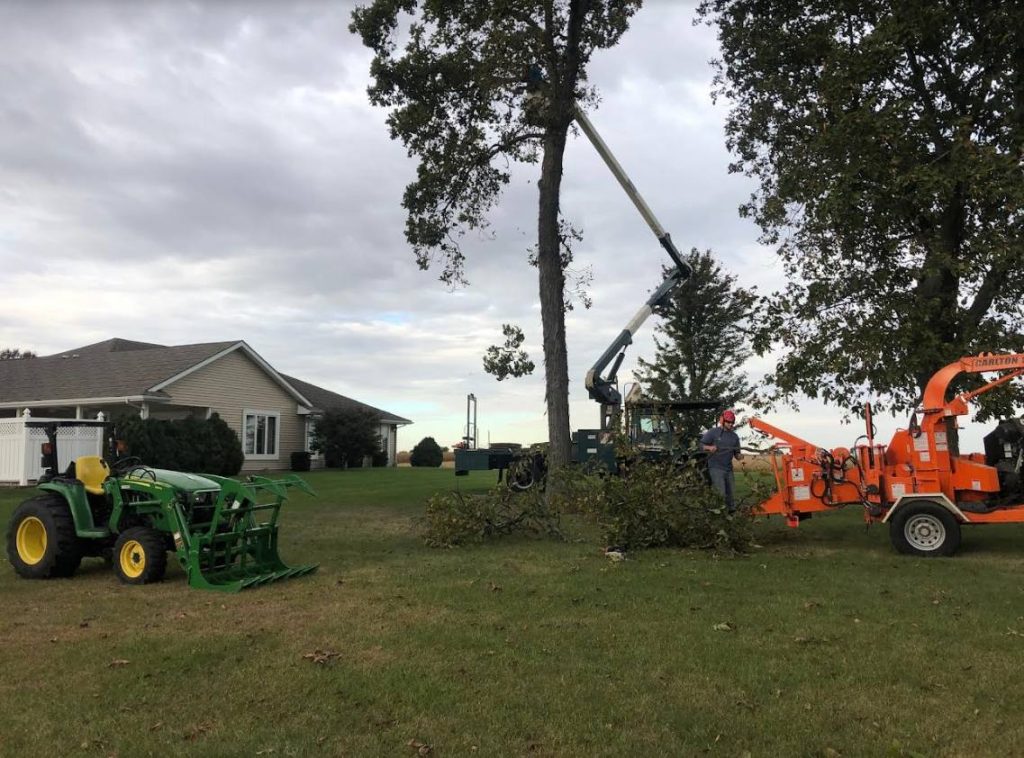 How to Choose a Tree Service in Central Illinois — What to Ask Before You Hire Anyone