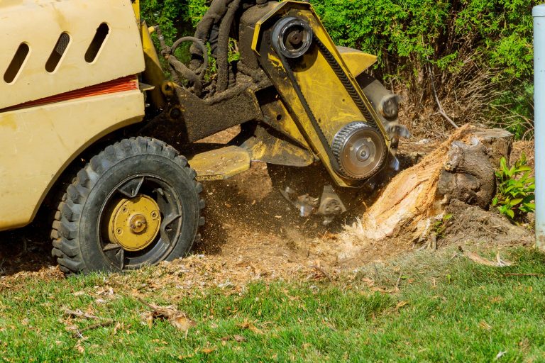Stump Grinding in Central Illinois — Why That Leftover Stump Needs to Go